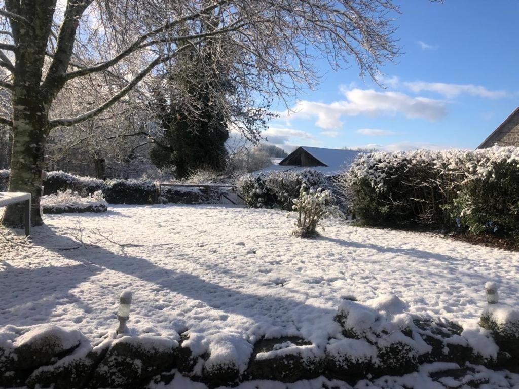 Maison De Campagne Sarroux Esterno foto